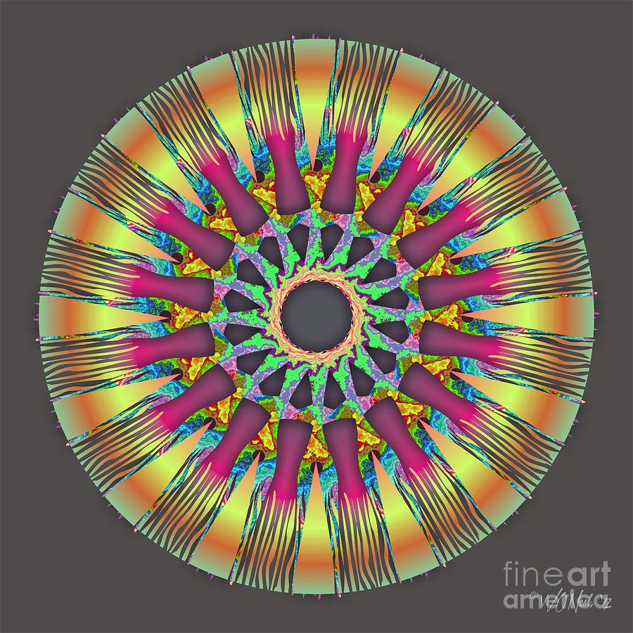 Pattern Digital Art - Mandala Series 3-2 by Walter Neal