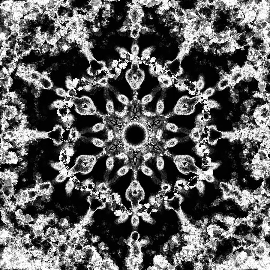 Mandala Silver 2 Digital Art by Patricia Lintner