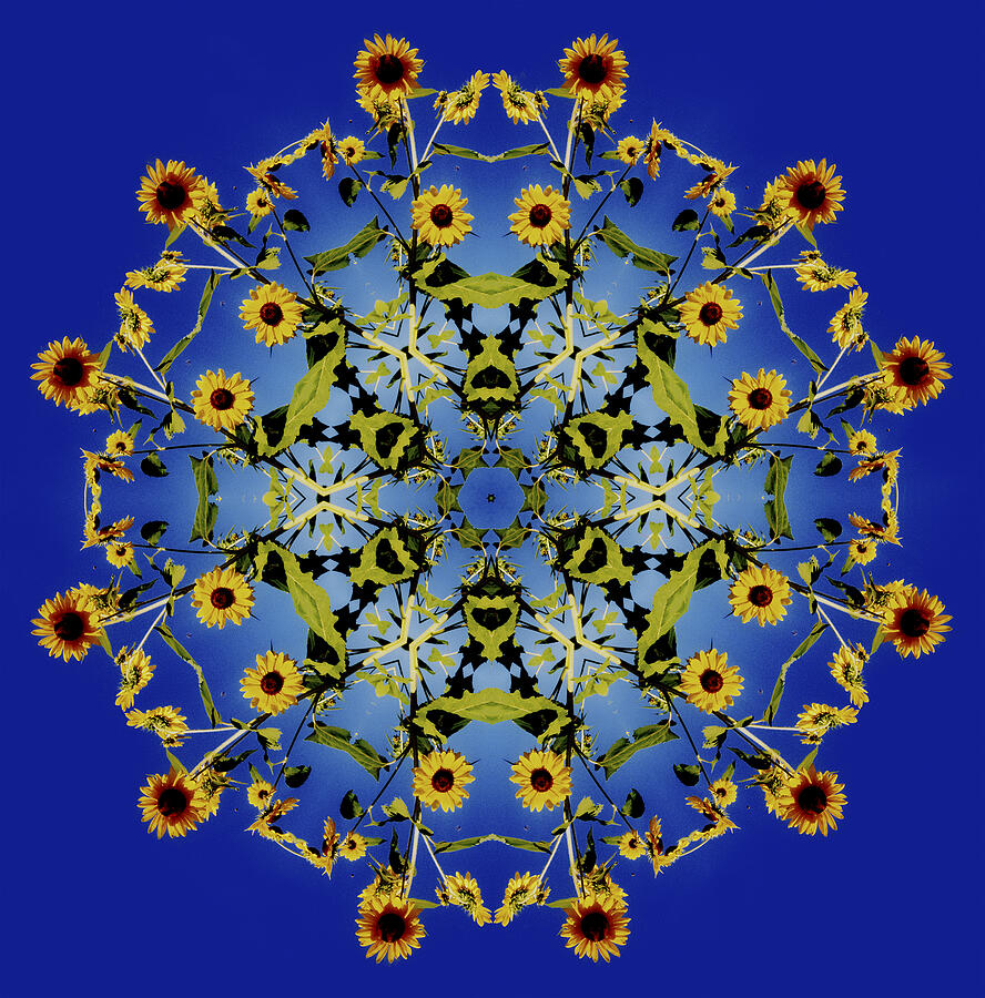 Mandala Sunflower Digital Art by Nancy Griswold