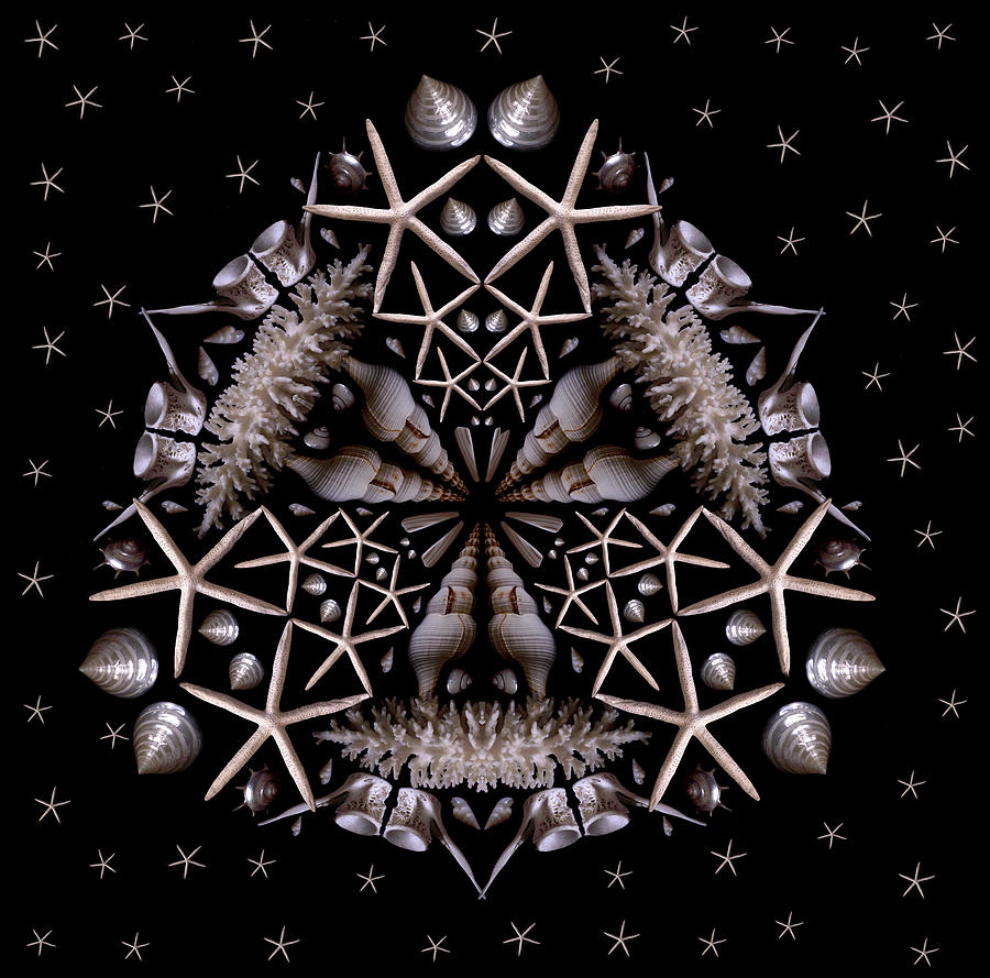 Mandala White Sea Star Photograph by Nancy Griswold