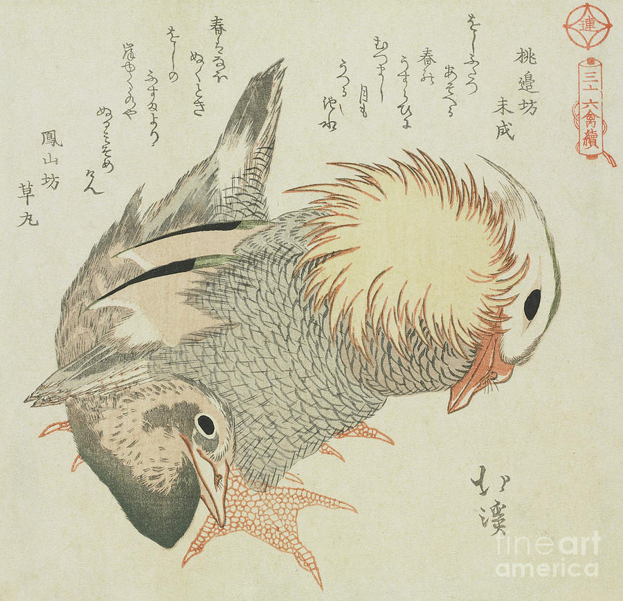 Bird Painting - Mandarin Duck and Drake by Toyota Hokkei