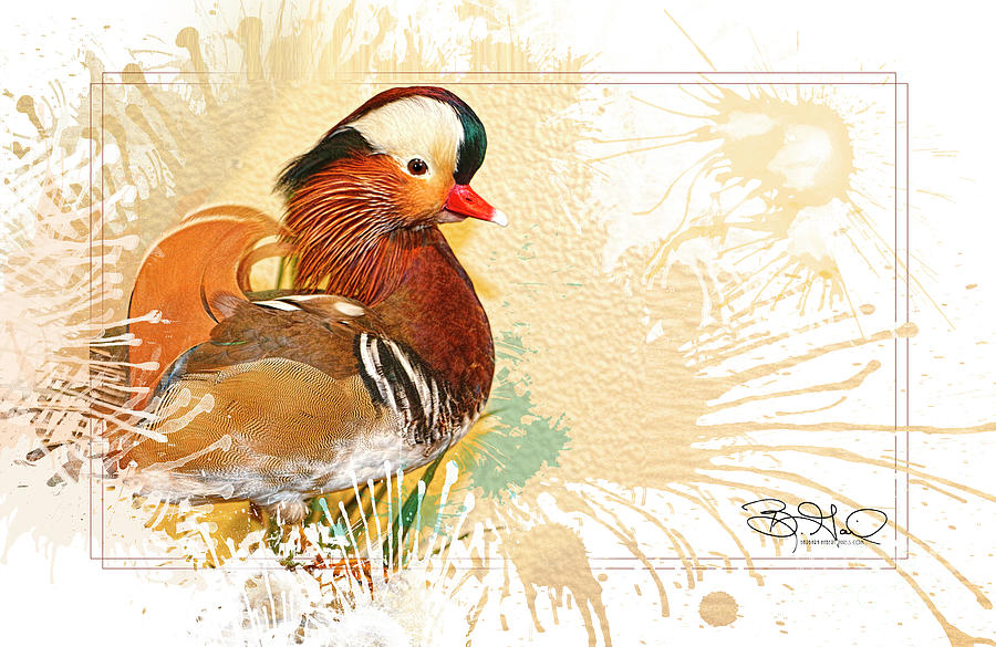 Mandarin Duck Digital Art by Barbara Hebert