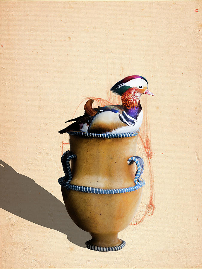 Mandarin Duck on Vaase Digital Art by Keshava Shukla