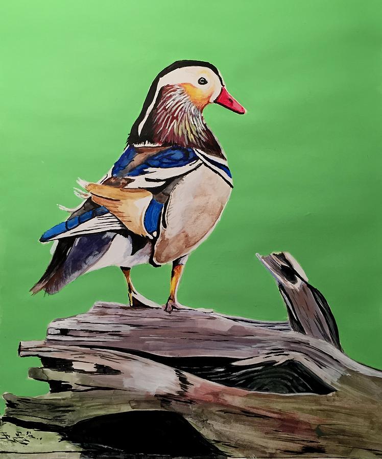 Mandarin Duck Painting by Rob Peters
