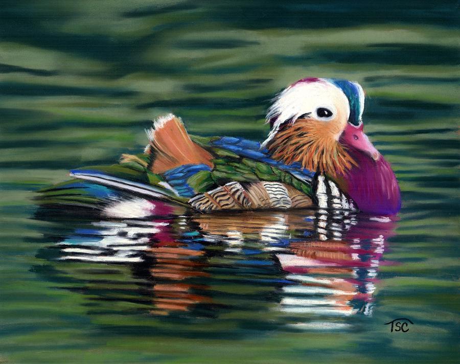 Mandarin Duck Painting by Tammy Crawford