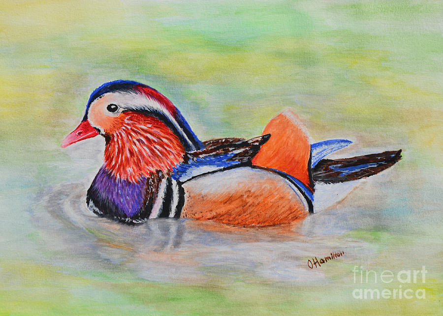 Bird Painting - Mandarin Duck Watercolor Painting by Olga Hamilton