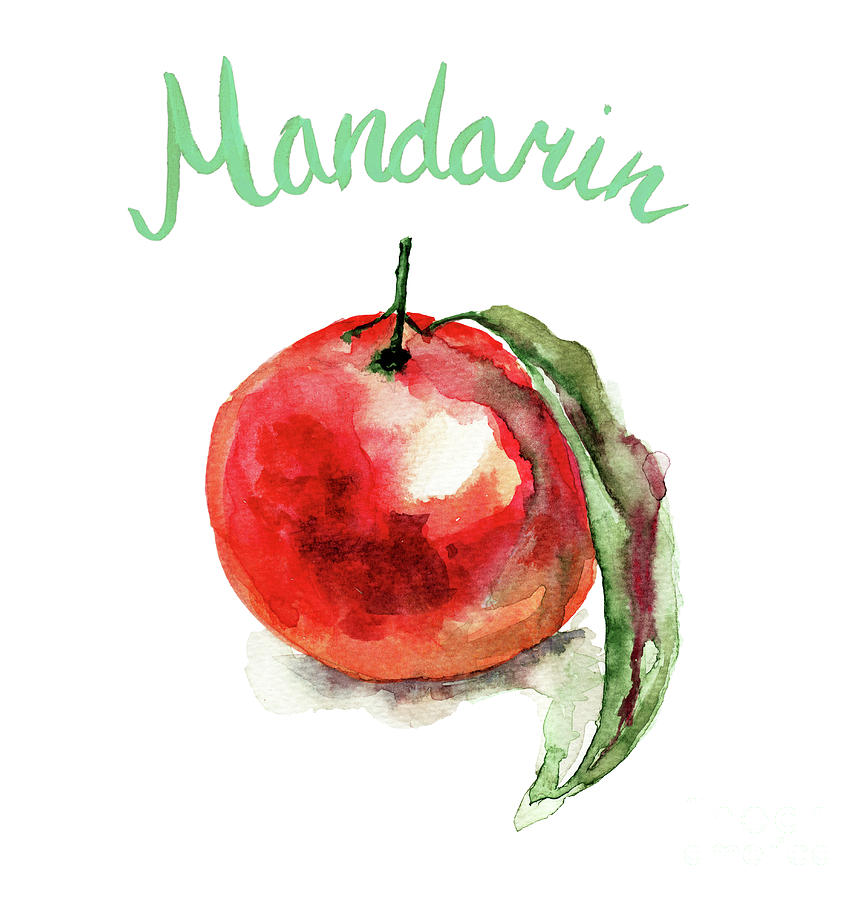 Mandarin fruits Painting by Regina Jershova