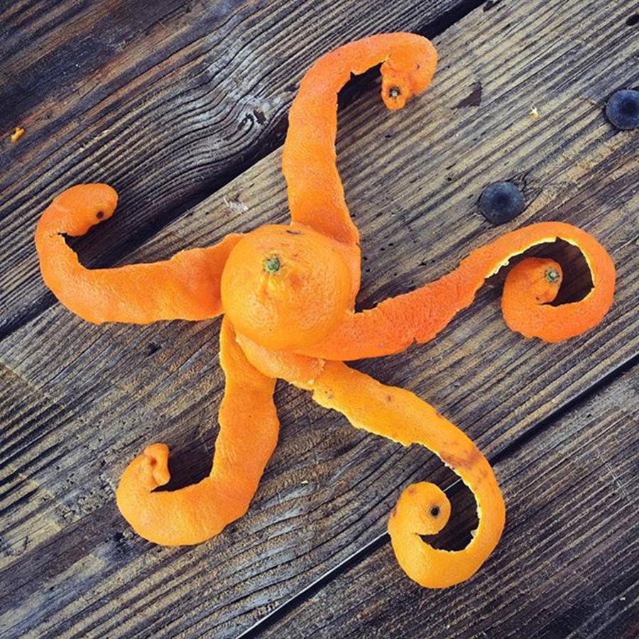 Octopus Photograph - Mandarina Con Tentáculos by Juan Silva
