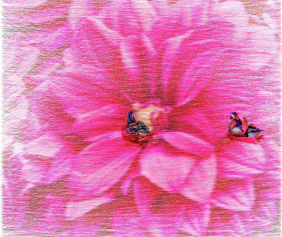 Mandarinducks in flower #e2 Photograph by Leif Sohlman
