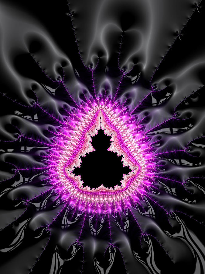 Mandelbrot set pink and black Digital Art by Matthias Hauser - Fine Art ...