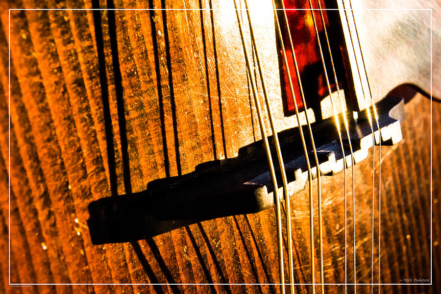 Mandolin 1 Photograph by Mick Anderson