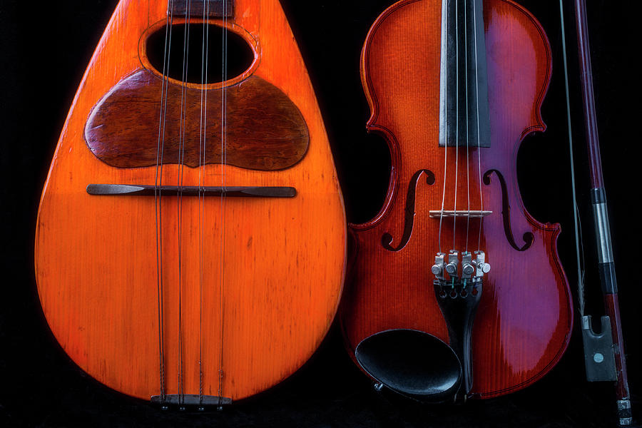 Mandolin And Violin Photograph by Garry Gay America
