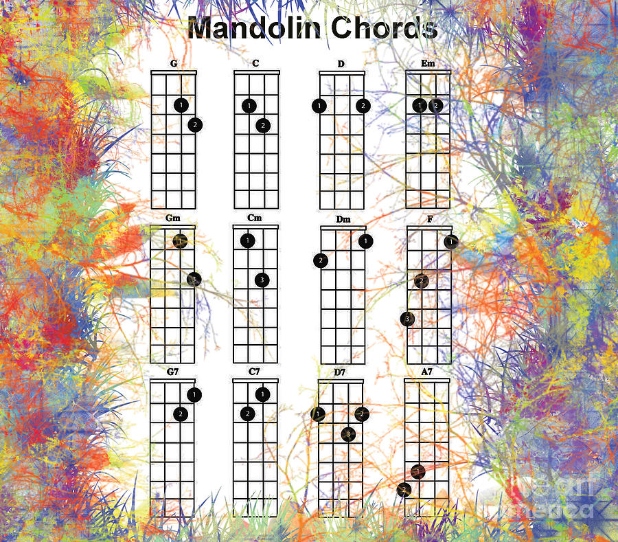 Mandolin Chords Chart II Painting by Trilby Cole
