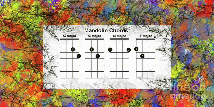 Mandolin- the basic chords Digital Art by Trilby Cole