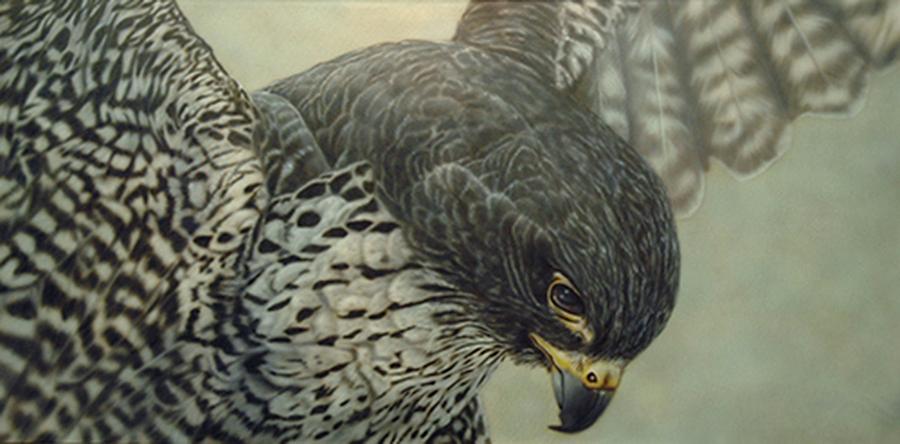 Mandy and Jeremys Peregrine Painting by Wayne Pruse