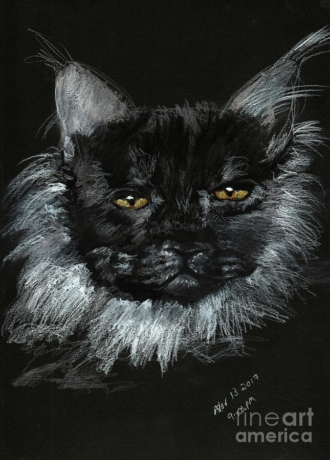 Cat Drawing - Maine Coon by Trena Guthridge