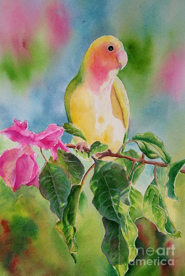 Mango in the Bougainvillea Painting by Petra Burgmann