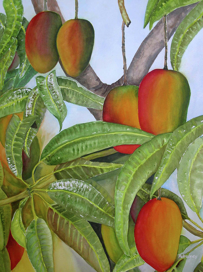Tree Painting - Mango Mango by Terry Arroyo Mulrooney