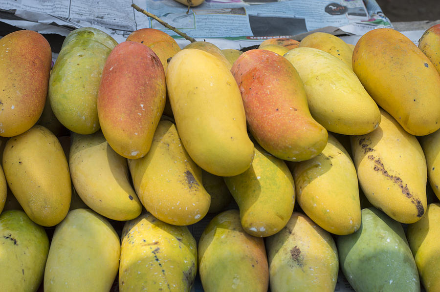 Mango Photograph by Robert Edwards - Fine Art America