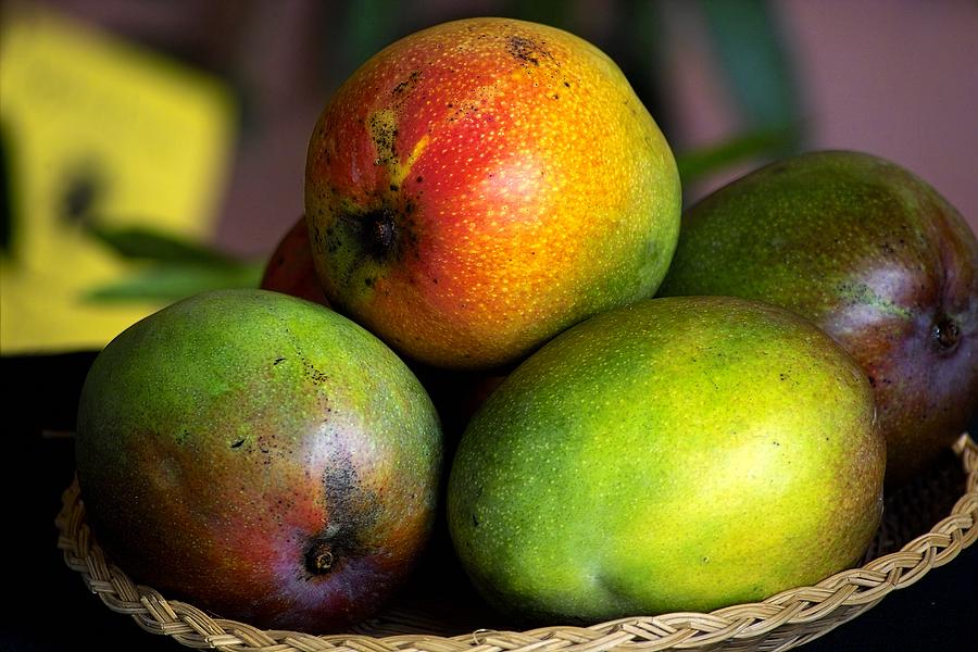 Mango Photograph - Mangos by Gary Dean Mercer Clark