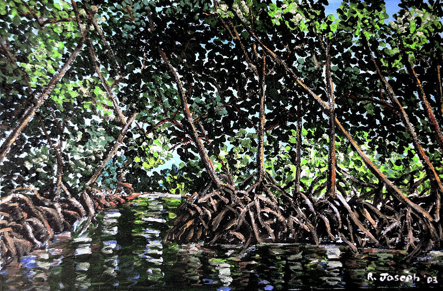 Mangrove-Caroni Swamp Painting by Roland Joseph - Pixels