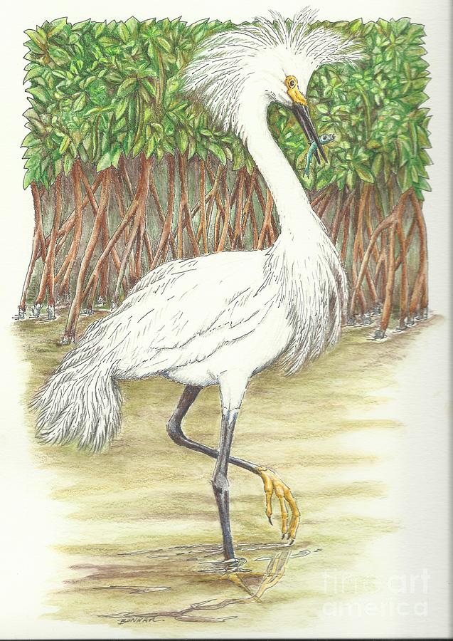 Snowy Egret Painting - Mangrove Fishin by Sue Bonnar