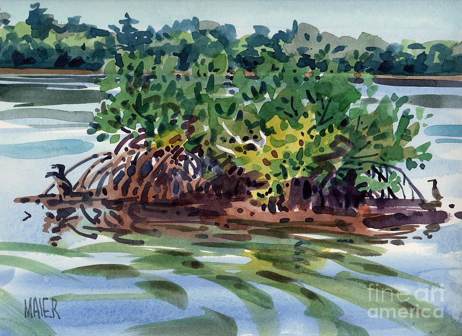 Mangrove Painting - Mangrove Island by Donald Maier