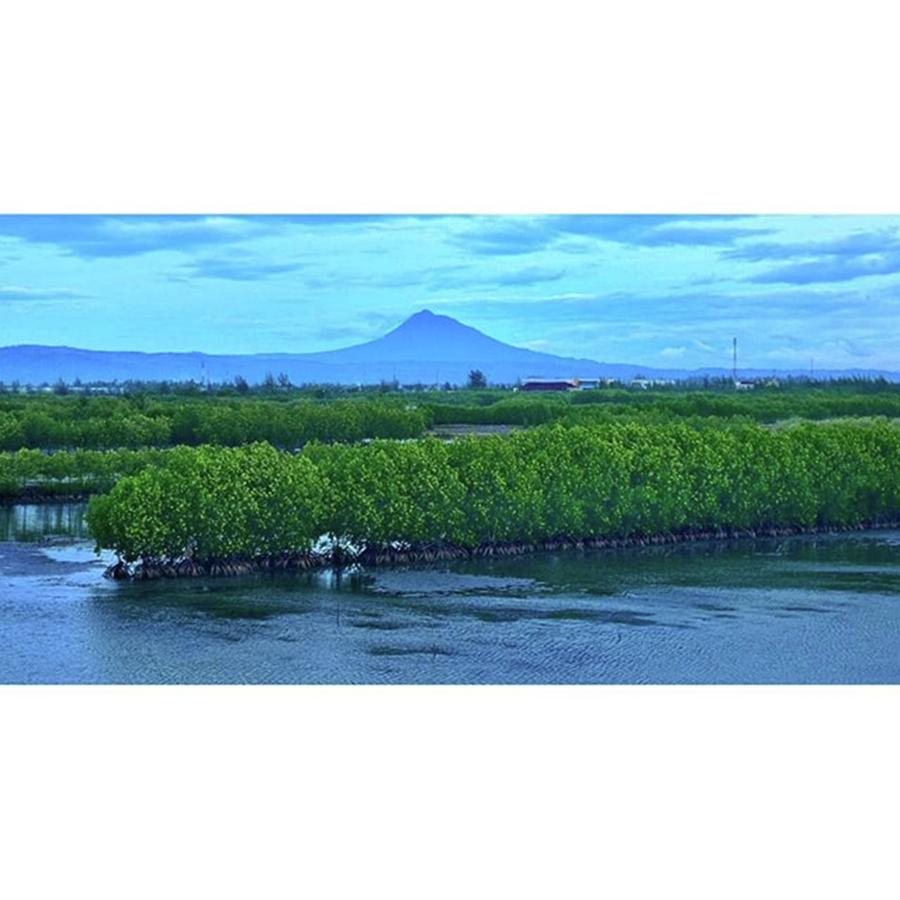 Mangrove Photograph - Mangrove #mangrove #tibang #bandaaceh by Bang Prossa