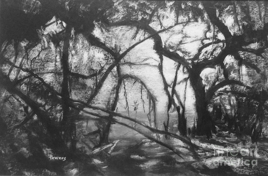 Mangroves by Moonlight Drawing by Mary Lynne Powers