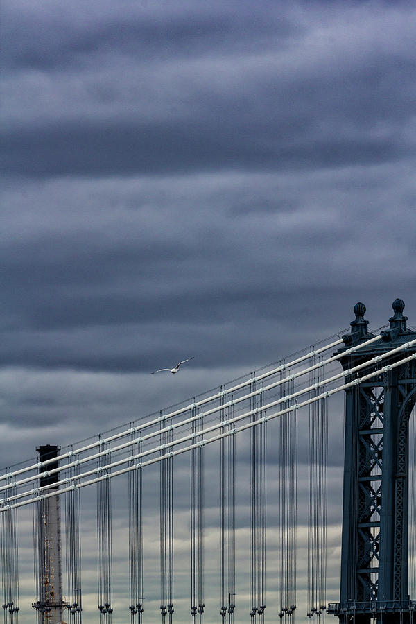 Manhattan Bridge Clouds and Seagull Photograph by Robert Ullmann