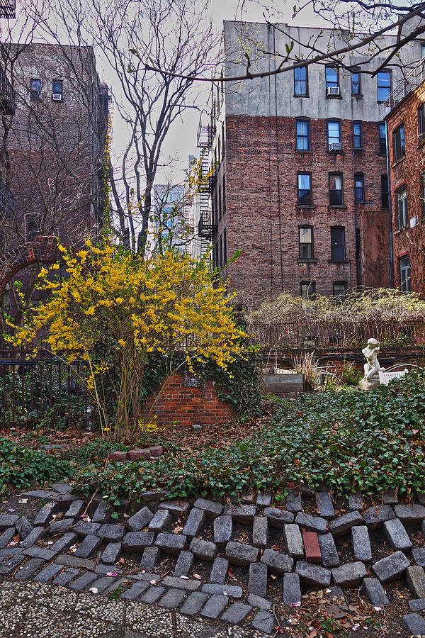 Manhattan Community Garden Photograph by Joan Reese