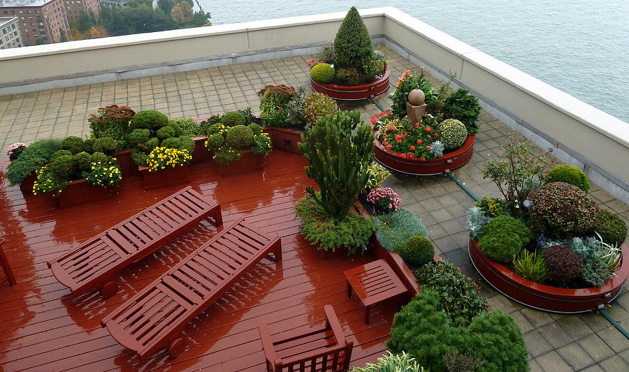 Manhattan Penthouse Terrace Photograph by Kenneth Summers