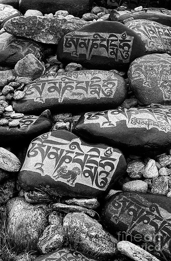 Mani Stones - Lake Maasarovar Tibet by Craig Lovell Mani Stones - Lake Maasarovar Tibet by Craig Lovell