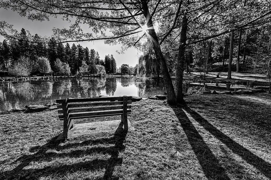 Manito Spring Morning in Black and White Photograph by Mark Kiver