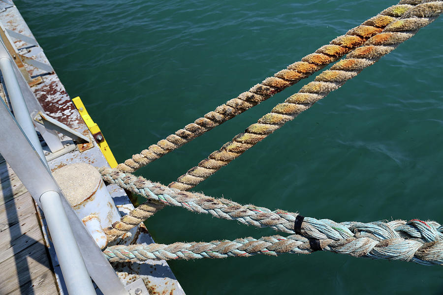 Rope Photograph - Manitou Dock Ties by Mary Bedy
