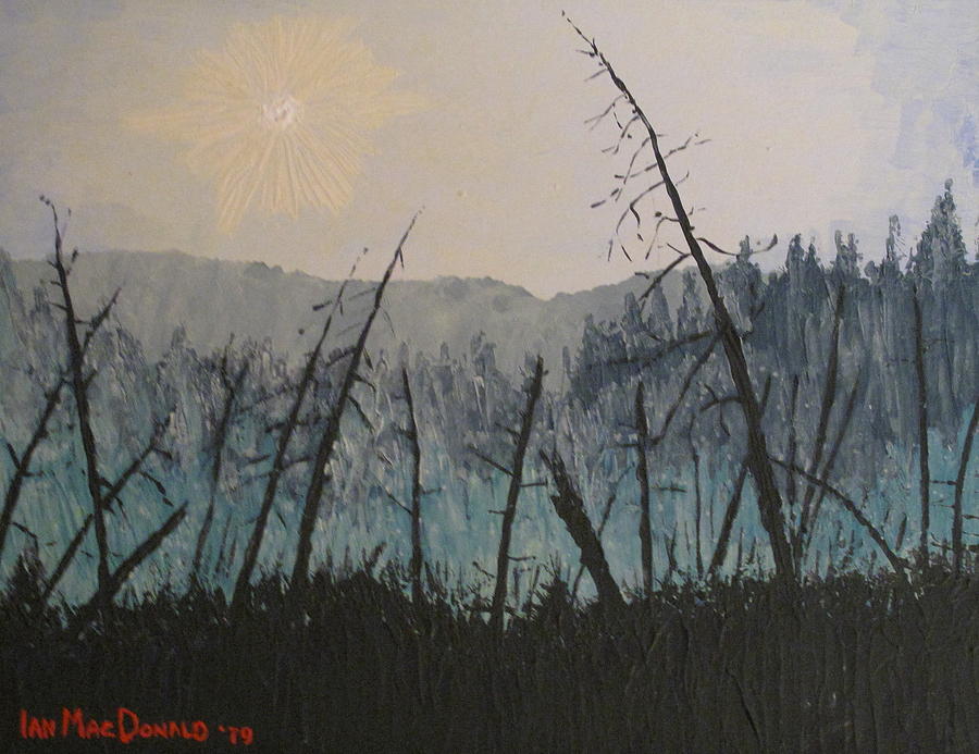 Manitoulin Beaver Meadow Painting by Ian  MacDonald