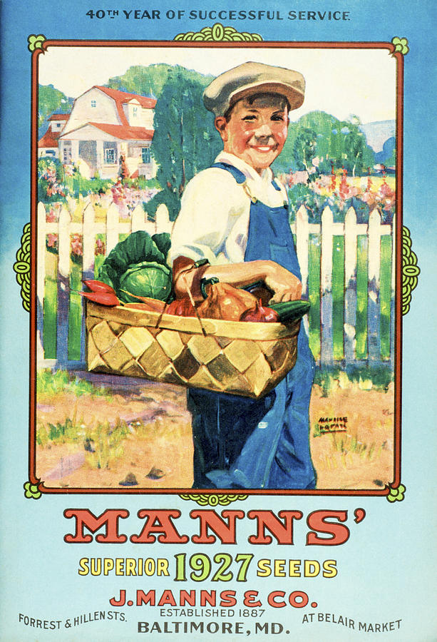 Mann S Seed Catalog With Illustration Photograph by Remsberg Inc