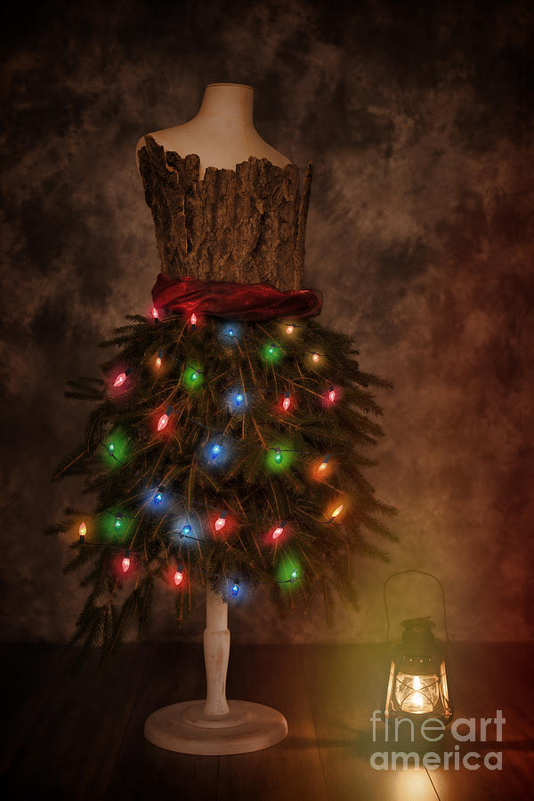 Christmas Photograph - Mannequin Dressed For Christmas by Amanda Elwell