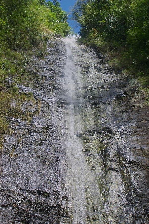 Manoa Falls Photograph by Cornelia DeDona