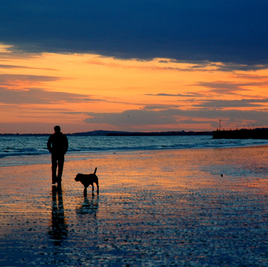 Man Photograph - Mans Best Friend by Nigel Chaloner Man Photograph - Mans Best Friend by Nigel Chaloner