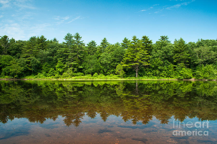 Mansfield Hollow - Summertime Reflections on Woodland Lake Photograph by JG Coleman