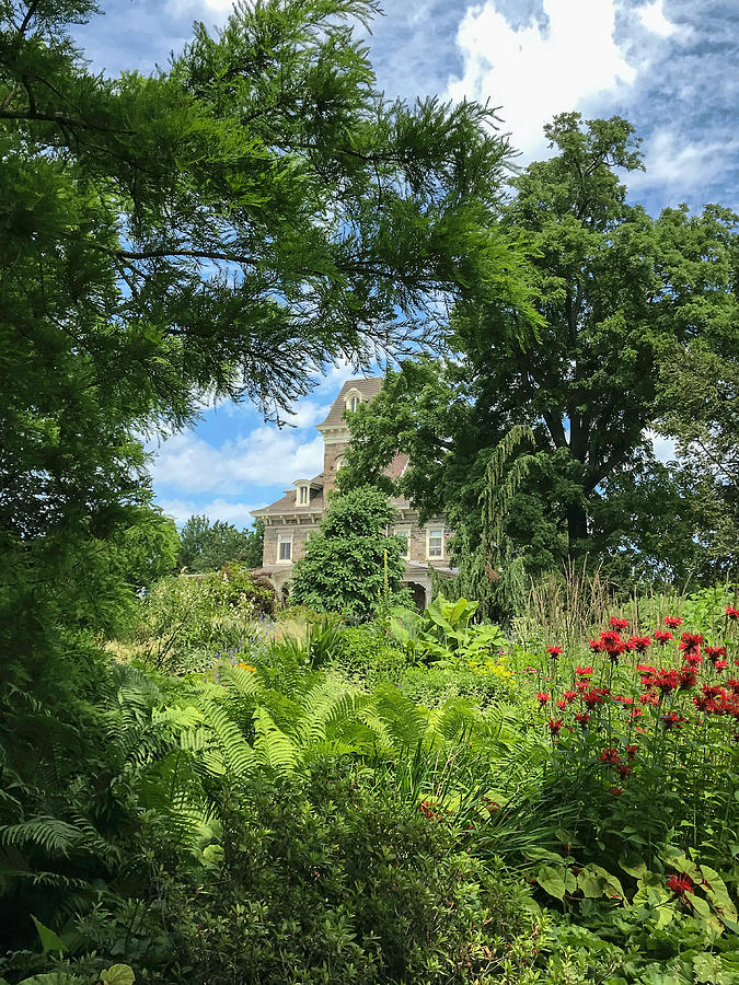 Mansion Through The Trees Photograph