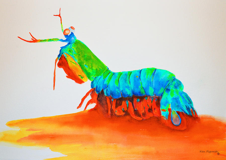 Mantis Shrimp Painting by Ken Figurski