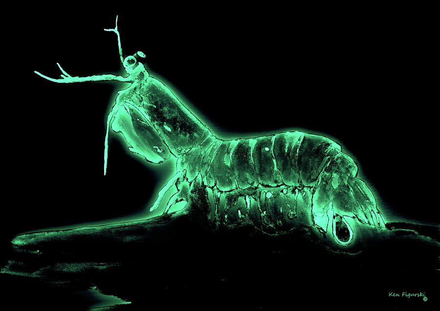 Mantis Shrimp Neon Colorful Art 2 Mixed Media by Ken Figurski