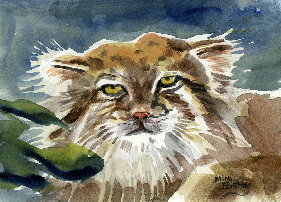 Manul Painting by Mimi Boothby