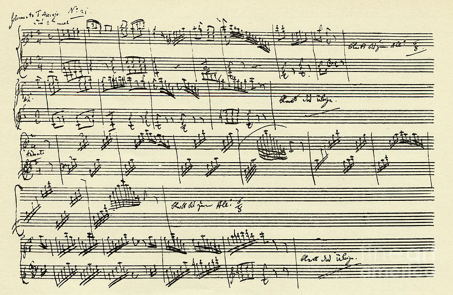 Music Drawing - Manuscript of the Magic Flute by Wolfgang Amadeus Mozart  by Mozart