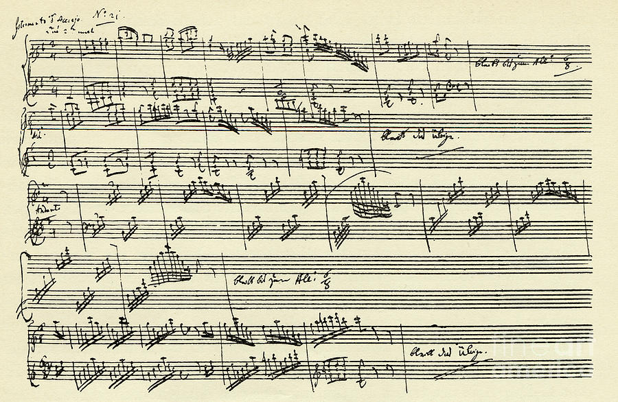 Manuscript Of The Magic Flute By Wolfgang Amadeus Mozart Drawing By