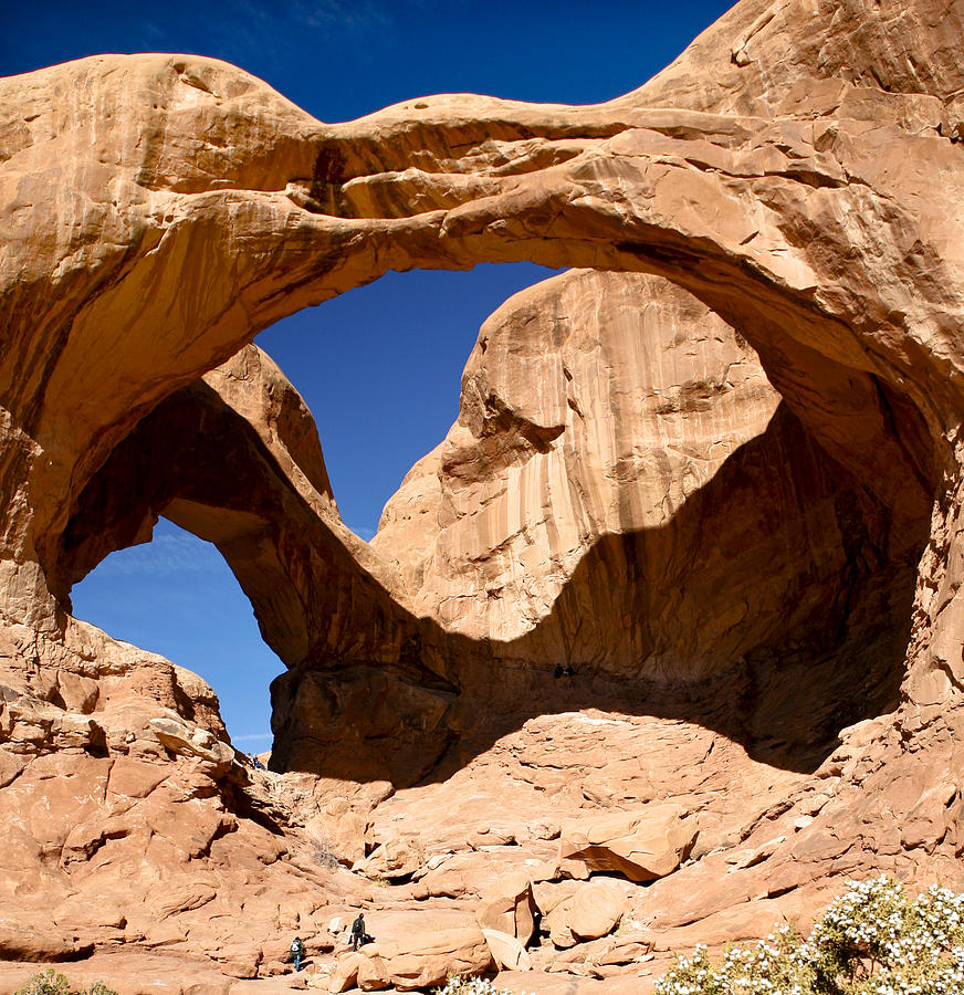 National Parks Photograph - Many Arches by Marilyn Hunt