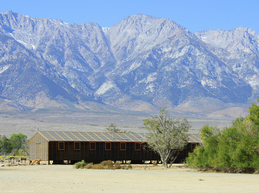 California Photograph - Manzanar a blight on America 1 by Tommy Anderson