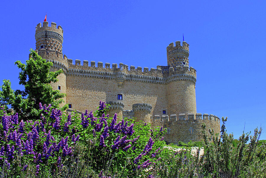 Manzanares Castle and Lilacs Photograph by Nieves Nitta